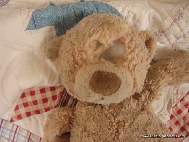 teddy bear with no eyes