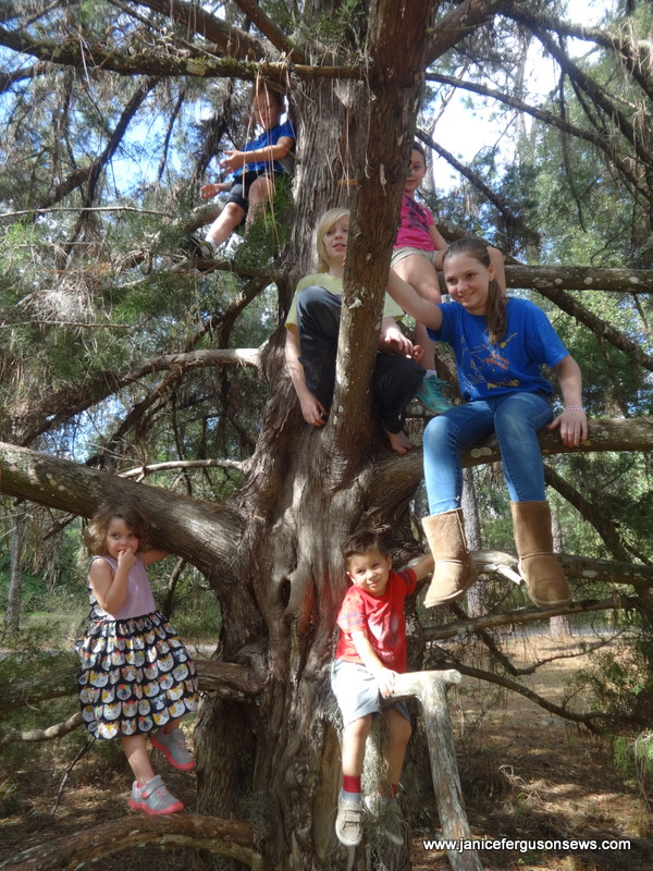 tree-w-kids